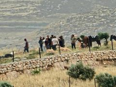 مستوطنون وجنود الاحتلال يهاجمون قرية المغير