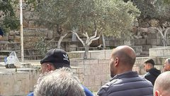 المبعدون عن المسجد الأقصى المبارك يؤدون صلاة الجمعة في طريق المجاهدين