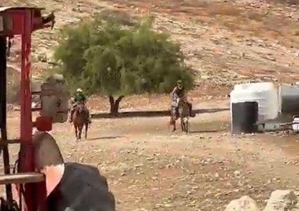 مستوطنون يسرقون حصانا غرب نابلس
