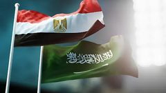 مصر والسعودية تؤكدان ضرورة تنفيذ خطة ترامب ونشر قوة دولية في غزة