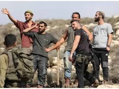 مستعمرون يهاجمون مواشي المواطنين في اريحا