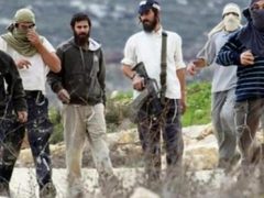 مستوطنون يهاجمون منزلاً ويصيبون مواطنا في قصرة جنوب نابلس