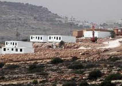 الاحتلال يخطر بإزالة مئات الأشجار في صور باهر