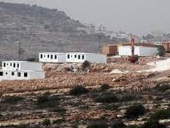 الاحتلال يخطر بإزالة مئات الأشجار في صور باهر