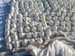 قوات الاحتلال تعتقل شقيقين ومستوطنون يتلفون مشتقات ألبان في مسافر يطا