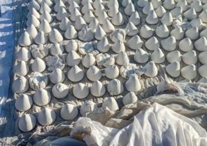 قوات الاحتلال تعتقل شقيقين ومستوطنون يتلفون مشتقات ألبان في مسافر يطا