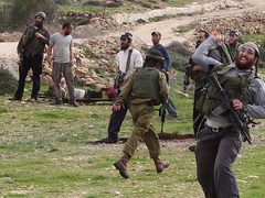 مستوطنون يرعون أغنامهم في المغير شرق رام الله