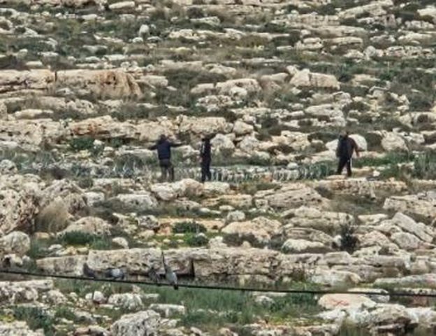 مستوطنون يسيّجون أراضٍ زراعية في نعلين غرب رام الله