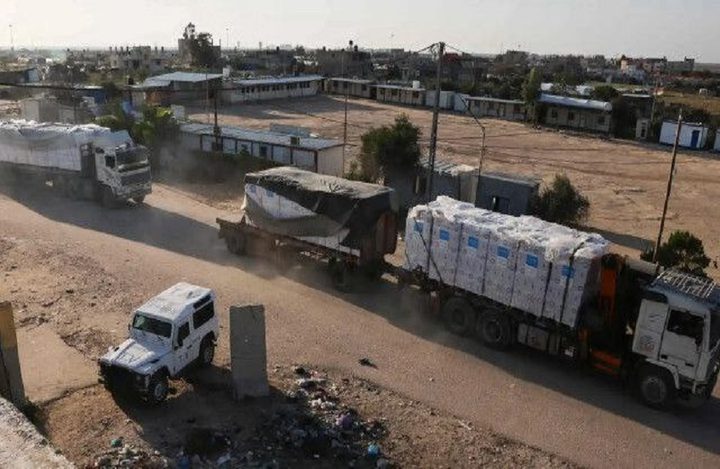 الهلال الأحمر يسير 9 شاحنات محملة بأكثر من 3 ملايين وحدة دواء لقطاع غزة