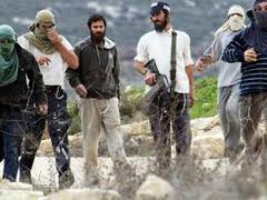 مستوطنون يقتحمون محيط منزل في عين سينيا شمال رام الله