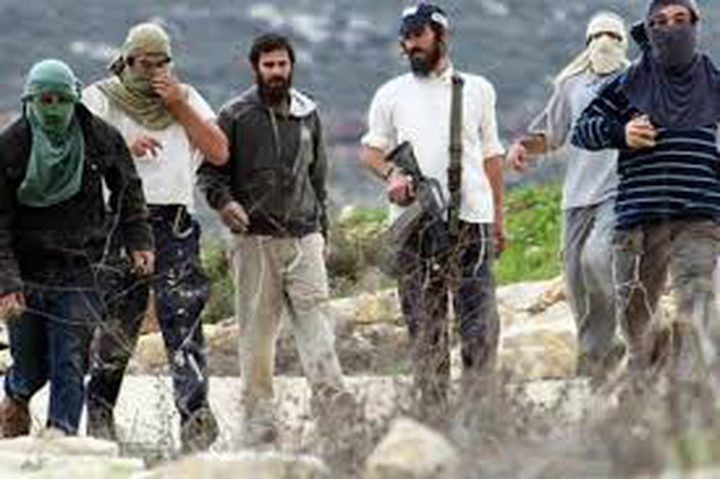 مستوطنون يقتحمون محيط منزل في عين سينيا شمال رام الله