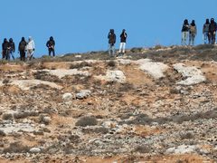 مستوطنون يسيجون أراض في عين الحلوة بالأغوار الشمالية