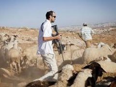 مستعمرون يحاولون الاستيلاء على اغنام شرق بيت لحم