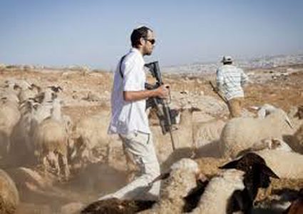 مستعمرون يحاولون الاستيلاء على اغنام شرق بيت لحم