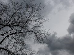 حالة الطقس: أجواء باردة وانخفاض آخر على الحرارة