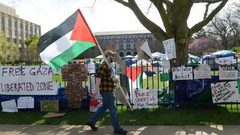 انقلاب الاستطلاع السنوي الامريكي: الغالبية مع فلسطين ويؤيدون قيام دولة فلسطينية