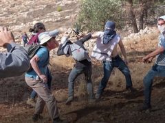 مستوطنون يقتحمون المالحة شرق بيت لحم