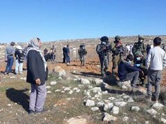 مستوطنون يهاجمون منازل المواطنين في يطا والأغوار والاحتلال يعتقل 4 مواطنين