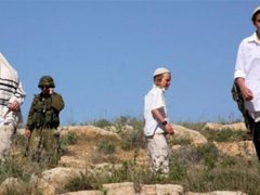 مستوطنون يعتدون على عائلة في خربة الفارسية بالأغوار الشمالية