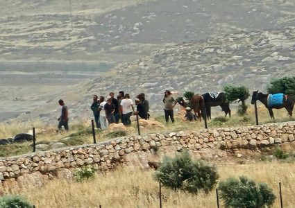 مستوطنون يوسّعون اعتداءاتهم في الأغوار الشمالية بتسييج أراضٍ في “أم الجمال”