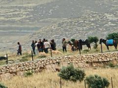 مستوطنون يوسّعون اعتداءاتهم في الأغوار الشمالية بتسييج أراضٍ في “أم الجمال”