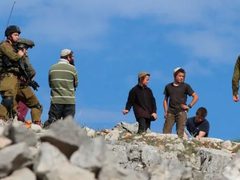 الاحتلال يمنع المواطنين من الوصول إلى المراعي شرق طوباس