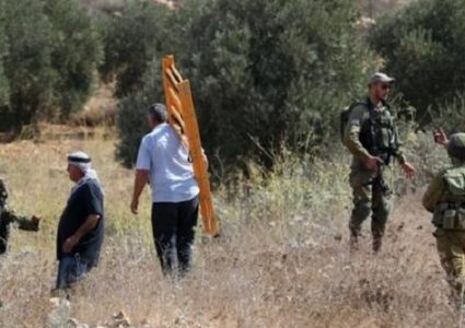 الاردن يدين اعتداءات المستعمرين في الضفة الغربية