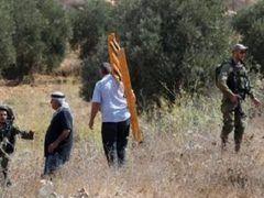 الاردن يدين اعتداءات المستعمرين في الضفة الغربية