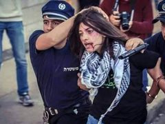 ٧٢ اسيرة فلسطينية يواجهن التعذيب في سجون الاحتلال