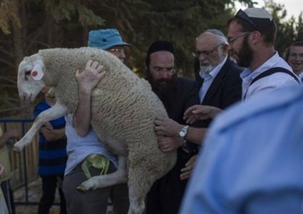 جماعات الهيكل تطلق حملة متصاعدة لقربان الفصح في المسجد الاقصى