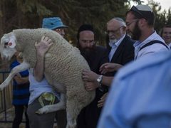 جماعات الهيكل تطلق حملة متصاعدة لقربان الفصح في المسجد الاقصى