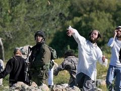 مستوطنون يعتدون على المواطنين ويسرقون مواشيهم شرق طوباس