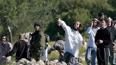 مستوطنون يعتدون على المواطنين ويسرقون مواشيهم شرق طوباس