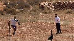 مستوطنون يسيّجون عشرات الدونمات من الأراضي الرعوية شرق طوباس