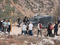 اعتقال طفل وإصابتان باعتداء مستوطنين في مسافر يطا جنوب الخليل