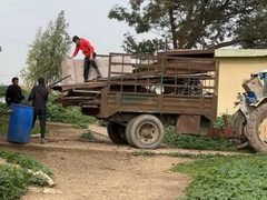 ثلاث عائلات ترحل قسرا من عاطوف جنوب شرق طوباس بسبب اعتداءات المستوطنين