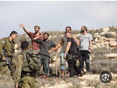 مستوطنون يقتحمون أراضي المواطنين في بيت امرين شمال غرب نابلس