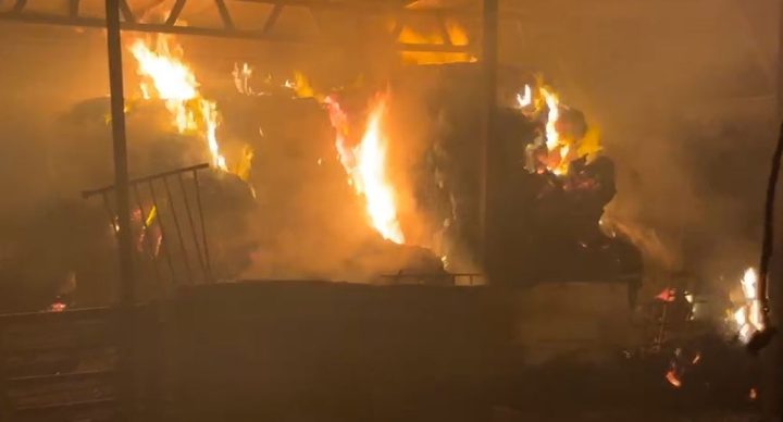 مستوطنون يحرقون مخزنا لمجلس قروي عينابوس جنوب نابلس