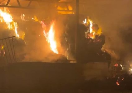 مستوطنون يحرقون مخزنا لمجلس قروي عينابوس جنوب نابلس