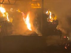 مستوطنون يحرقون مخزنا لمجلس قروي عينابوس جنوب نابلس