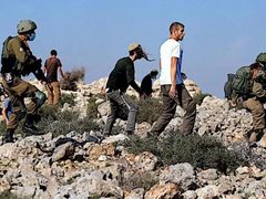 مستوطنون يقتحمون تجمع حمصة الفوقا بالأغوار الشمالية ويعتدون على المواطنين