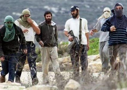 مستوطن يدعس طفلة ويصيبها بجروح جنوب الخليل