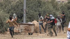 مقاومة الجدار والاستيطان: المستوطنون نفذوا 192 اعتداء في أسبوعي الحرب الأخيرة