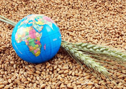 تحذير: حرب إيران قد تهدد الإمدادات الغذائية العالمية