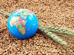 تحذير: حرب إيران قد تهدد الإمدادات الغذائية العالمية