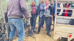 وزارة الزراعة توزع 3106 أشجار زيتون و36 خزان مياه على مزارعين في محافظة جنين