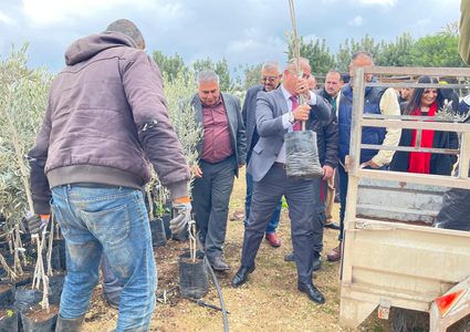 وزارة الزراعة توزع 3106 أشجار زيتون و36 خزان مياه على مزارعين في محافظة جنين