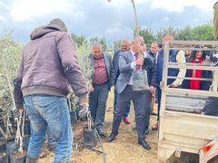 وزارة الزراعة توزع 3106 أشجار زيتون و36 خزان مياه على مزارعين في محافظة جنين