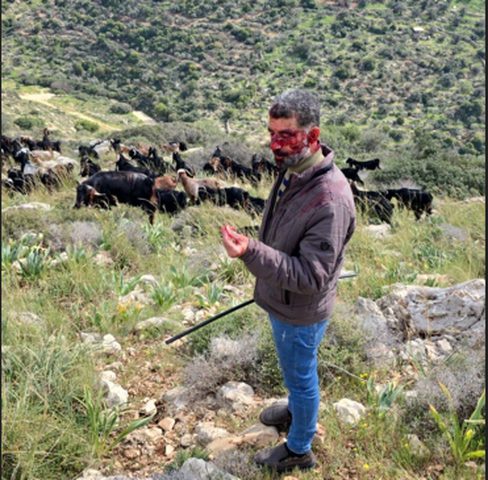 مستوطنون يعتدون بالضرب على راعٍ غرب سلفيت