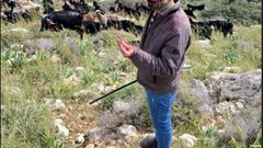 مستوطنون يعتدون بالضرب على راعٍ غرب سلفيت